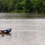 Composto de bactéria amazônica tem potencial para tratar doenças