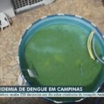 Dengue: com 1,5 mil reclamações represadas, Campinas registra 250 denúncias de criadouros por dia