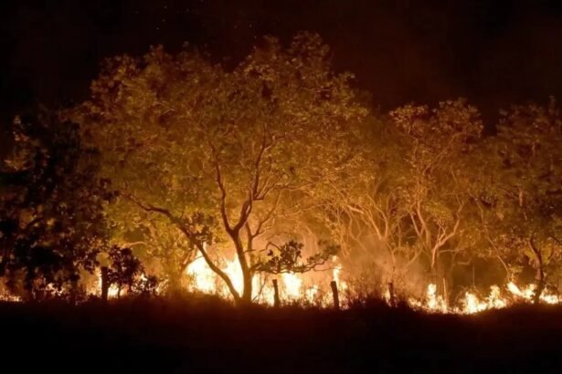 Fumaça de queimada encobre Boa Vista (RR) e prefeitura emite alerta de danos à saúde