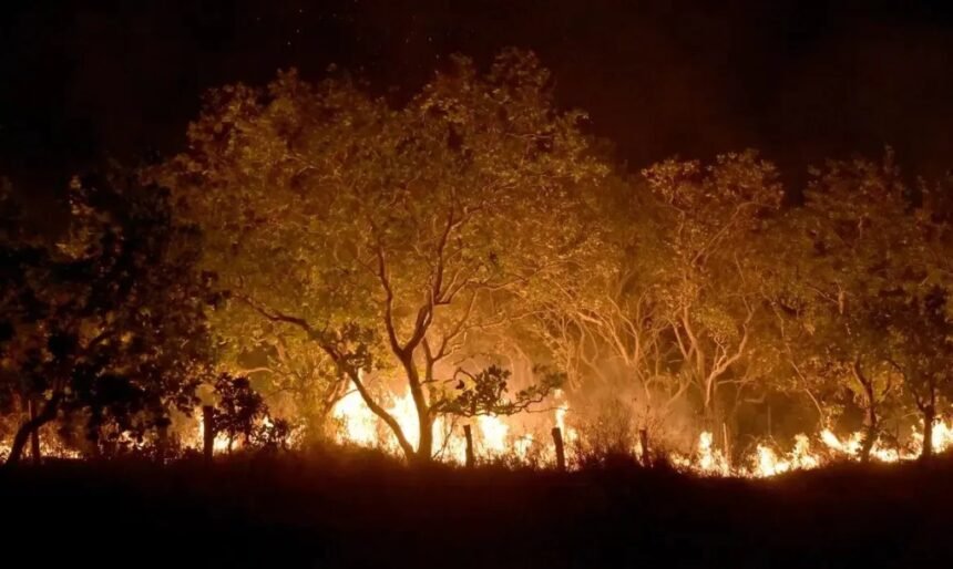 Fumaça de queimada encobre Boa Vista (RR) e prefeitura emite alerta de danos à saúde