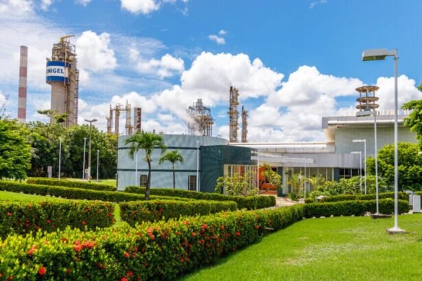 A área técnica do TCU (Tribunal de Contas da União) pediu a suspensão de um contrato firmado pela Petrobras com a empresa de fertilizantes Proquigel Química (Grupo Unigel) por indícios de irregularidades graves — Foto: Divulgação