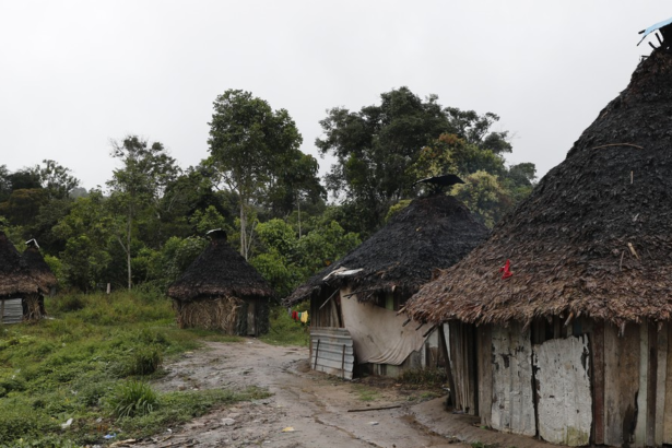 Terra Indígena Yanomami, no estado do Amazonas — Foto: Fernando Frazão/Agência Brasil