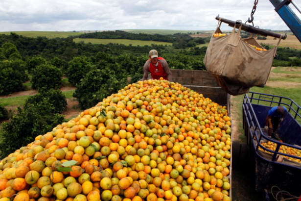 Paulo Whitaker/Reuters