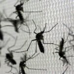 Com mais um óbito por dengue registrado em São José dos Campos, região chega a 65 mortes pela doença