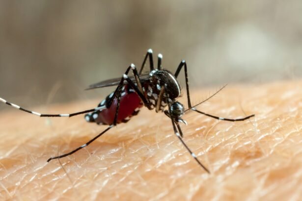 Falhas do Ministério da Saúde agravaram epidemia da dengue; veja principais erros