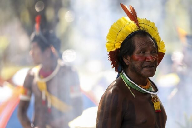 Mostra do Festival de Cannes seleciona filme brasileiro sobre os yanomami | Eu &