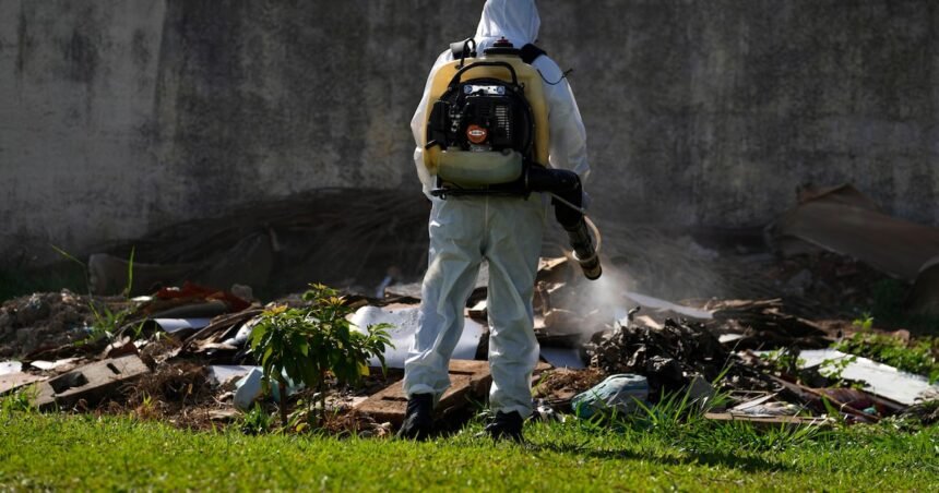 Maioria das UFs já vê queda em casos de dengue, mas nova epidemia é esperada para este ano