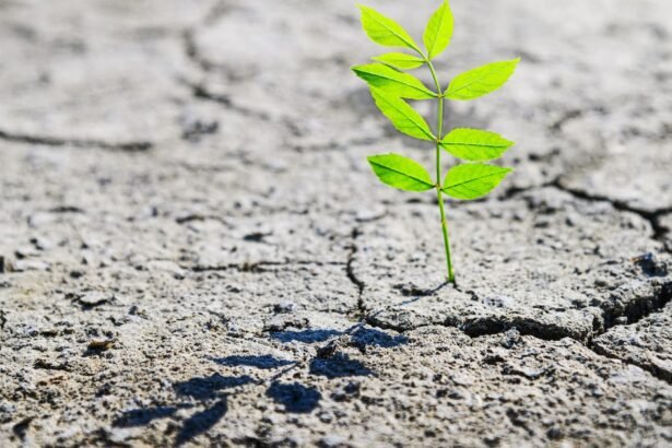 A vida pode ser desafiadora: especialista de Harvard ensina a criar um plano de resiliência