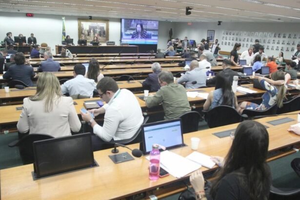 Reunião da CCJ da Câmara — Foto: Vinicius Loures/Câmara dos Deputados